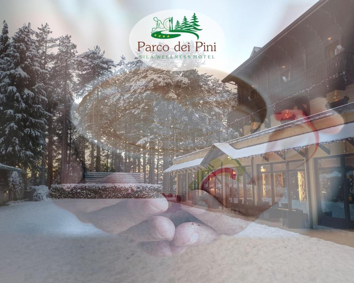 Parco Dei Pini - Sila Wellness Hotel Taverna  Luaran gambar