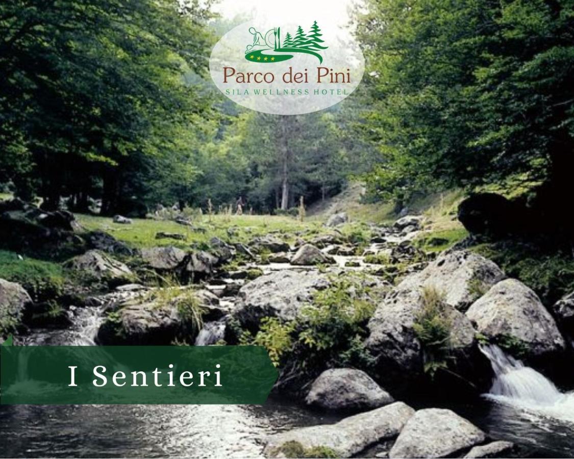 Parco Dei Pini - Sila Wellness Hotel Taverna  Luaran gambar