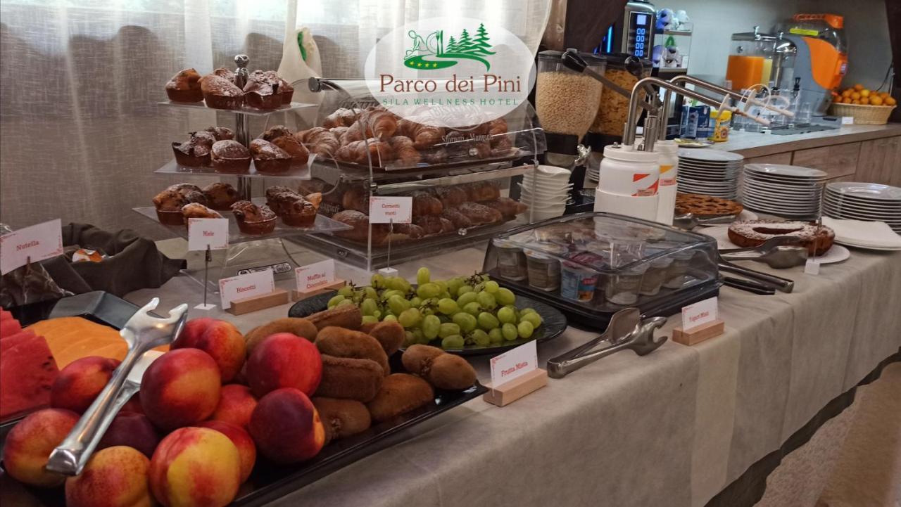 Parco Dei Pini - Sila Wellness Hotel Taverna  Luaran gambar